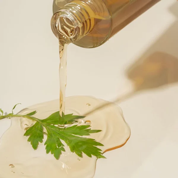 Seoul Magic: I'm From - Mugwort Essence - 160ml